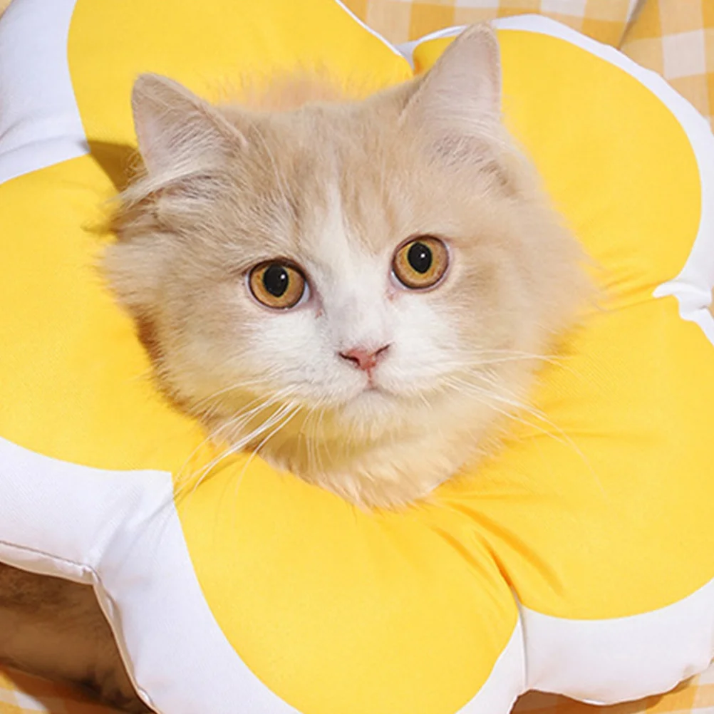 

Pet Elizabethan Collar Waterproof Flower Shape Cat Surgery Recovery Collar Lightweight Anti-Bite Protective Neck Cone for Wound