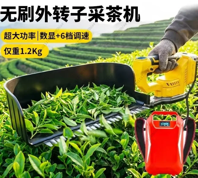 24V Brushless Electric Tea Harvester Rechargeable Handheld Tea Picking Machine