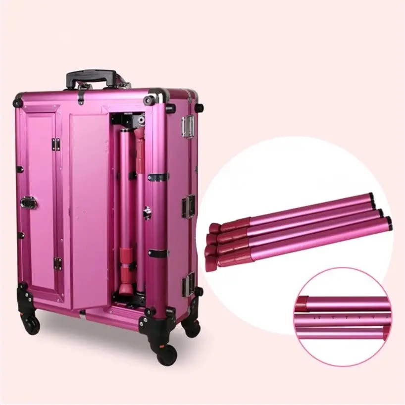 Professional Artist Rolling Makeup Case / Makeup Trolley Travel Cosmetic Case/ Beauty Train Case