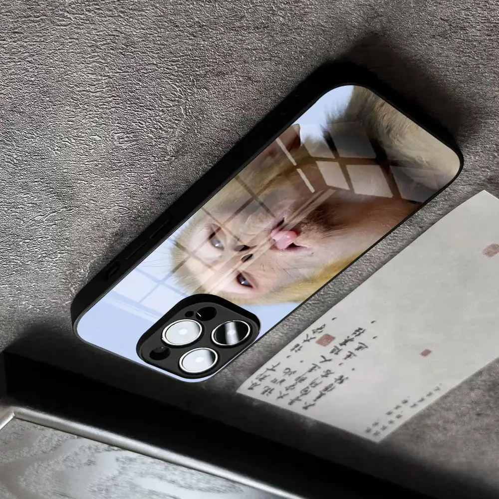 Фото Чехол для телефона для iPhone 17 Pro Max, 16 Pro, 15, 12, 11, 13 Mini, X, XR, XS, 14 Plus, SE, стеклянная крышка с мемом обезьяны, пьющей Capri-Sun - фото товара