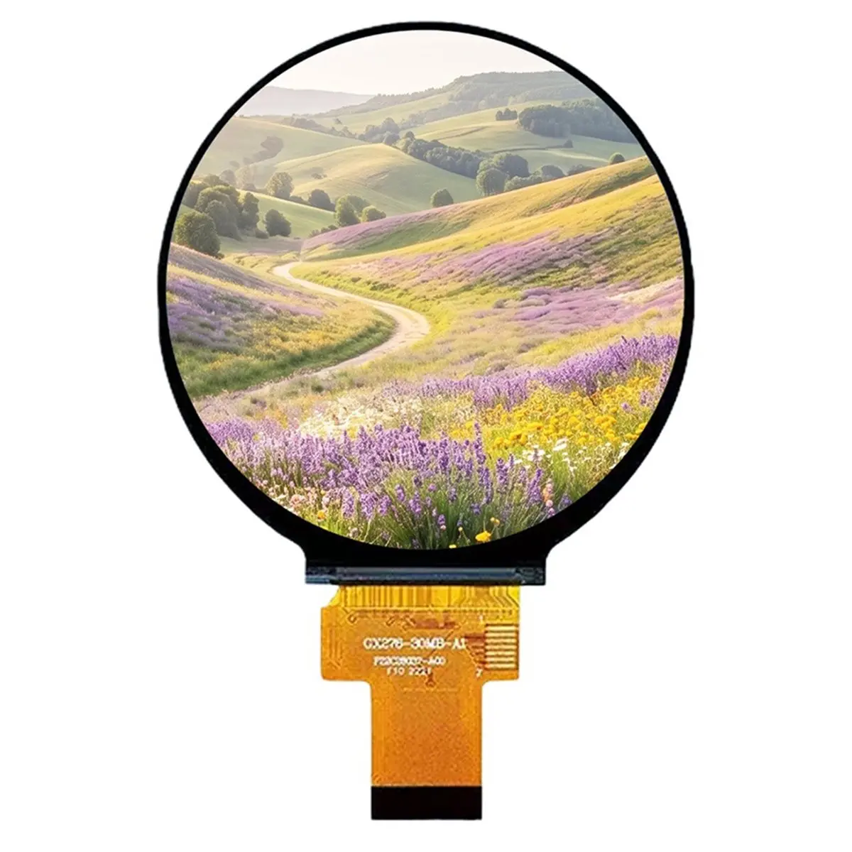 2.8 Inch Circular TFT LCD Display Module HD IPS 480 480 30PIN Capacitive Touch ST7701 MIPI RGB Interface