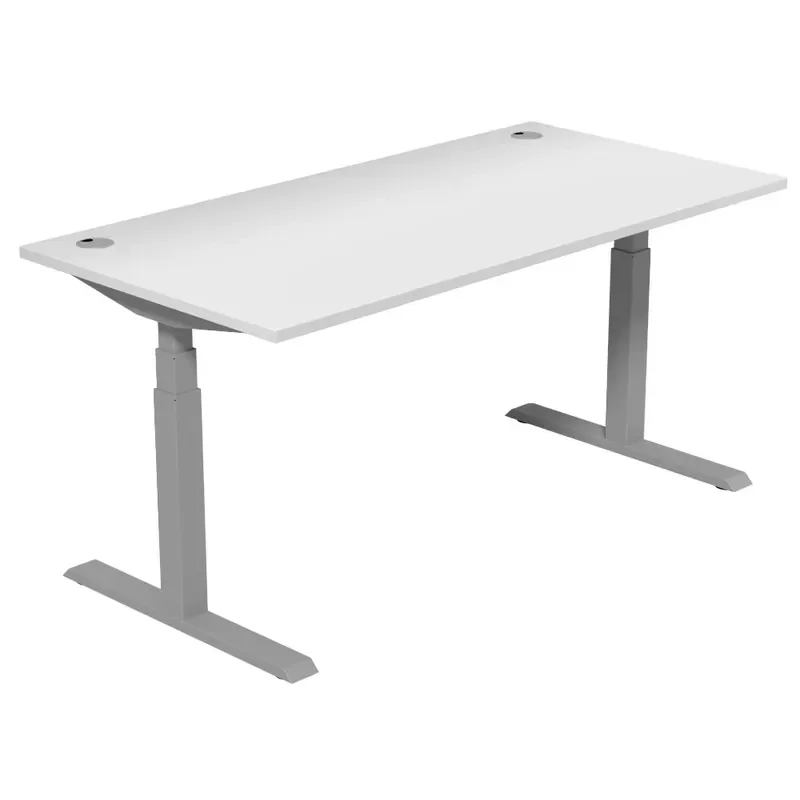 Dual Motor Electric Lifting Desk Ergonomic Height Adjustable Standing Desk Modern Retractable Office Computer Workstation