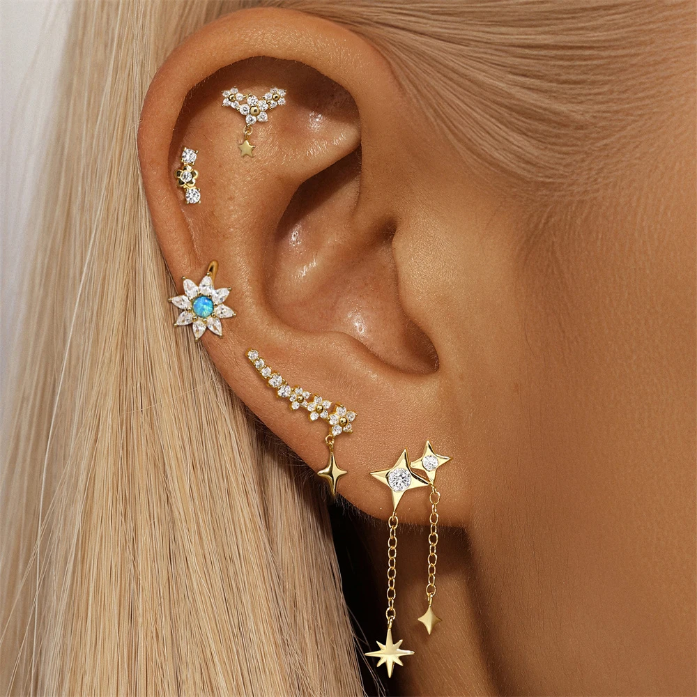 

CANNER Golden European 925 Sterling Silver Metal Star Pendant Five-Petal Flower Zirconia Earrings Women Festival Jewelry luxury
