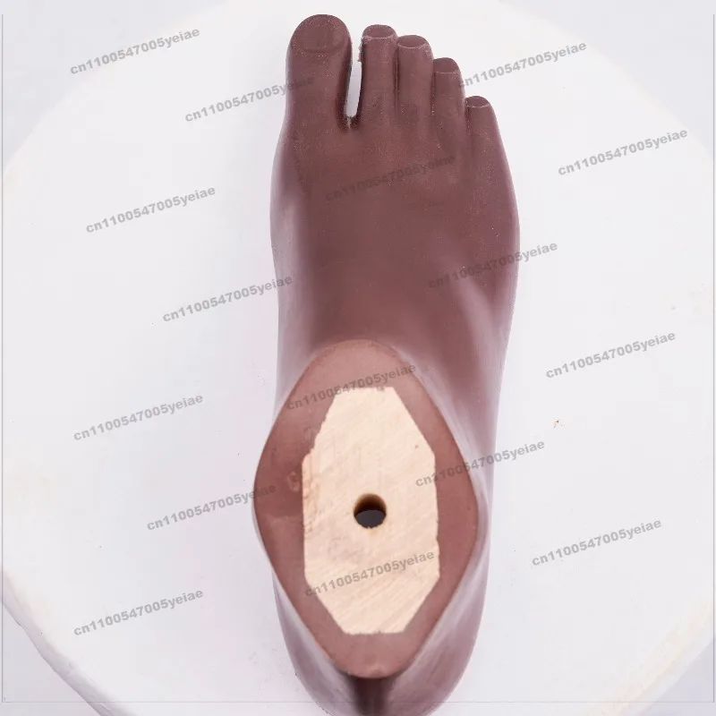 For Prosthetic Leg Rehabilitation Equipment for Brown Polyurethane Foot Prosthetic Components