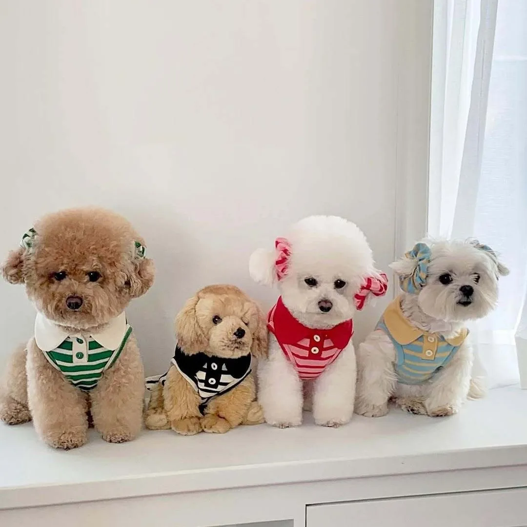 2025 Blue Striped Pet Vest Autumn Puppy Clothes Teddy Warm Polo Shirt Bichon Frise Sleeveless Bottoming Shirt