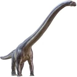 PNSO New ER-MA The Mamenchisaurus Dinosaur Museums Series 1:45 Scientific Art Models Collector Science Education Toys