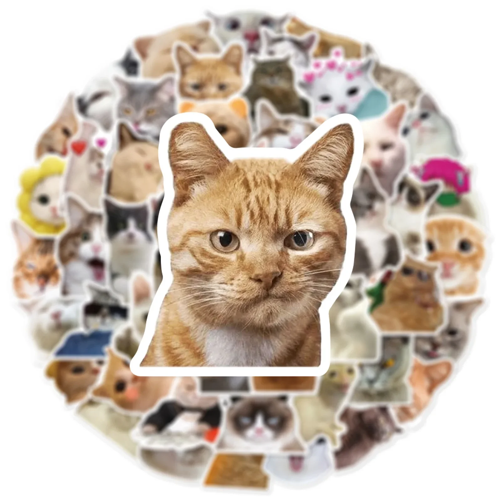 10/50pcs Cute Funny Cat Meme Stickers Aesthetic Kawaii Decals DIY Fridge Notebook Skateboard Phone Bike Car Graffiti Sticker Toy