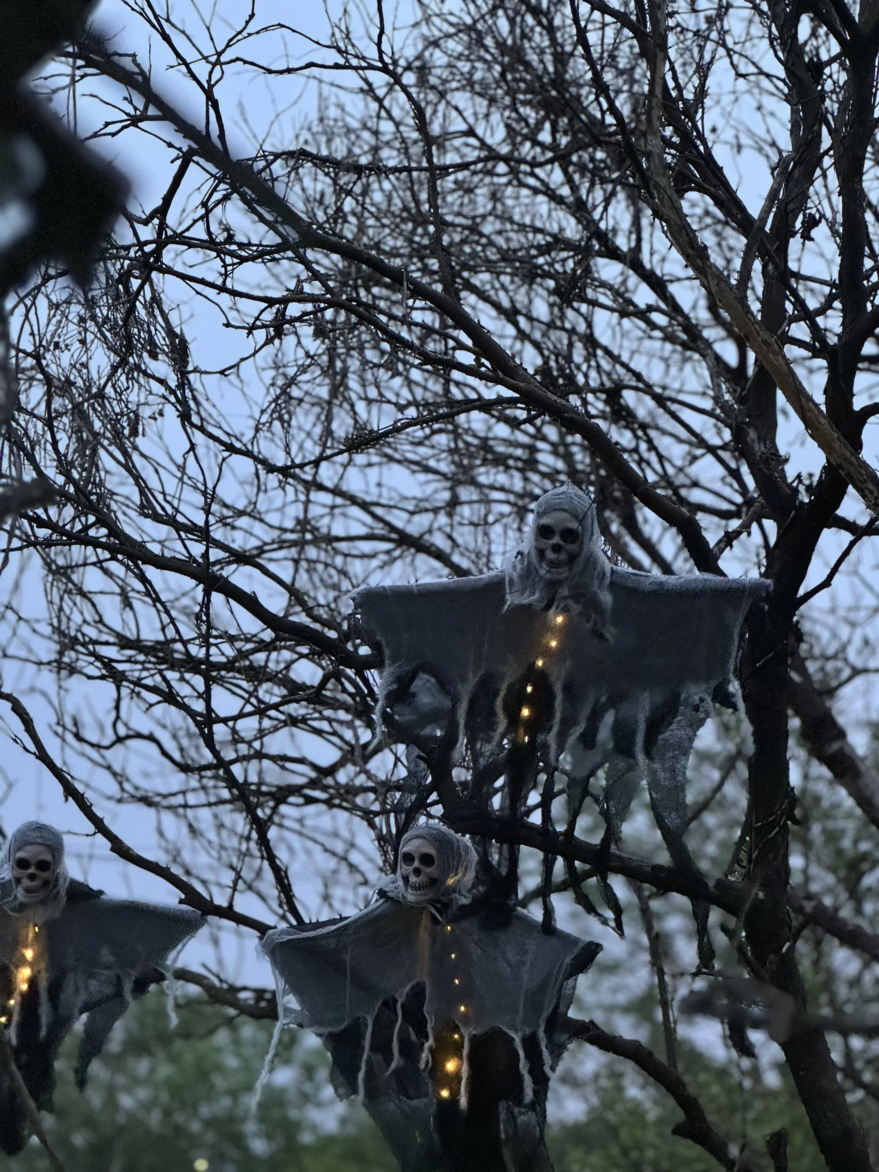 قطعة واحدة من زينة شبح الهيكل العظمي للهالوين مع سلسلة أضواء LED لتزيين الهالوين للاستخدام الخارجي في الحدائق #5