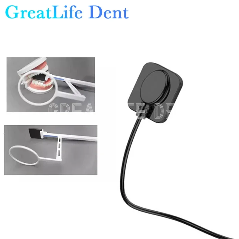 GreatLife Sensore digitale a raggi X dentale Sistema di imaging a raggi X dentale portatile impermeabile Sensore RVG per nave da dentista dal Messico
