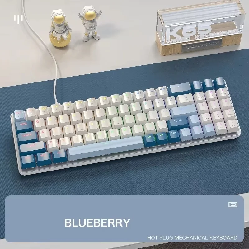 

ZIYOULANG K65 Mechanical Keyboard Customized Esports Wired Hot Plug Game Keyboard Two Color Transparent Keyboard