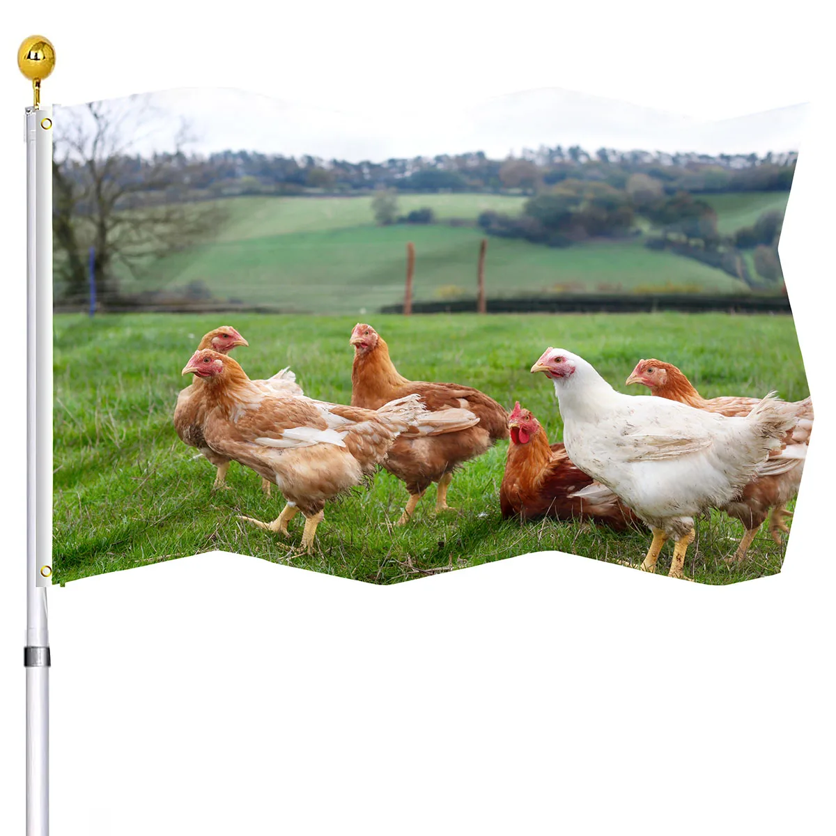 

Chickens Flag Field Grass Double Stitched Flags Polyester with Brass Grommets Home Indoor Yard Outdoor Decoration for Women Men