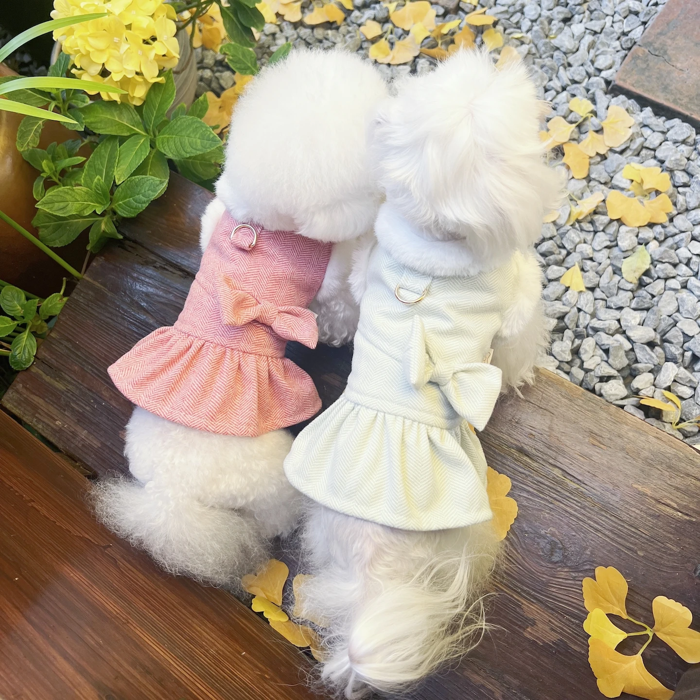 

Зимние толстые теплые наряды для щенков, пальто в стиле ретро, модное светло-зеленое, красное, милое пальто, куртки для маленьких и средних собак, одежда для чихуахуа