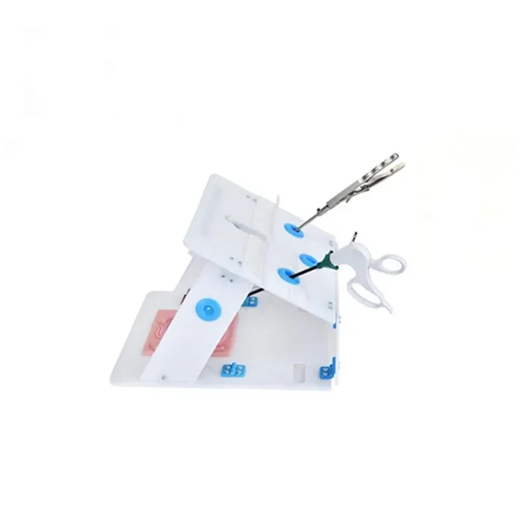Instrumentos laparoscópicos Endotrainer set envío rápido