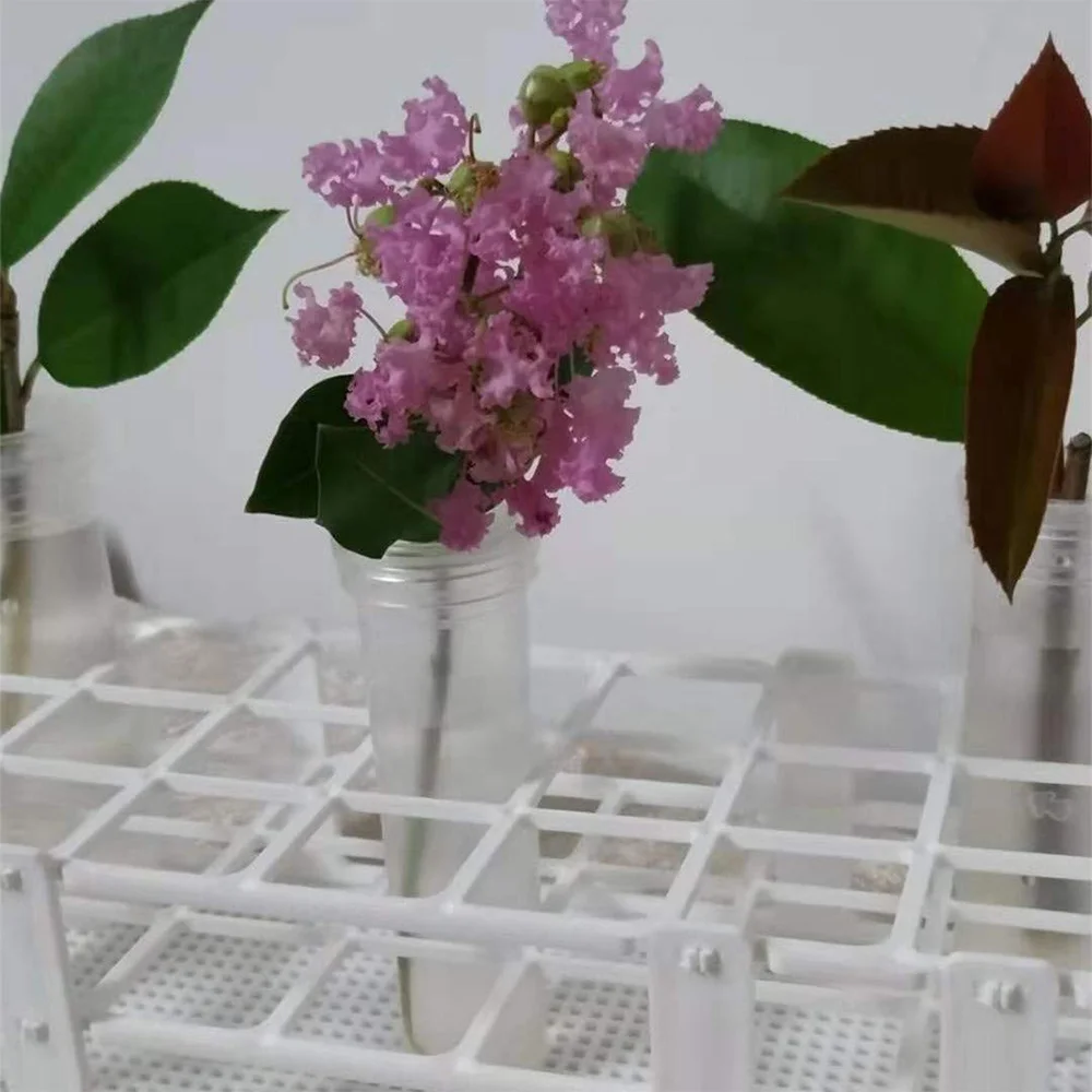 3 ชิ้นผู้ถือหลอดทดลองพลาสติก 60 หลุมสําหรับหลอดทดลอง 16 มิลลิเมตรสีขาวที่ถอดออกได้ Lab หลอดทดลองผู้ถือตู้แร็ค (60 หลุม)