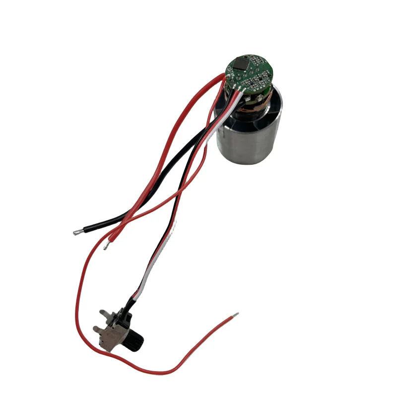 Motore Brushless 1pcs 130000 RPM per ventola a tamburo di soffiaggio senza spazzole con scheda di controllo dell\'unità senza lucidatura regolabile