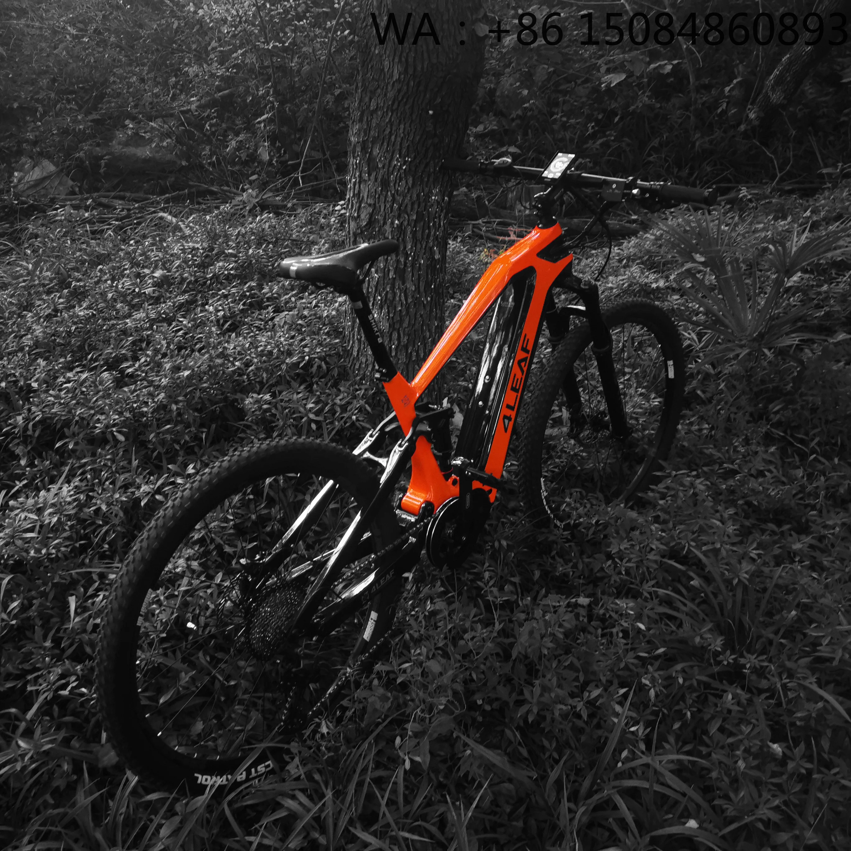 OEM Complete Carbon Road Bike, Carbon Fiber Material, Aero Internal Routing Frame, Disc Brake Professional Racing Bicycle