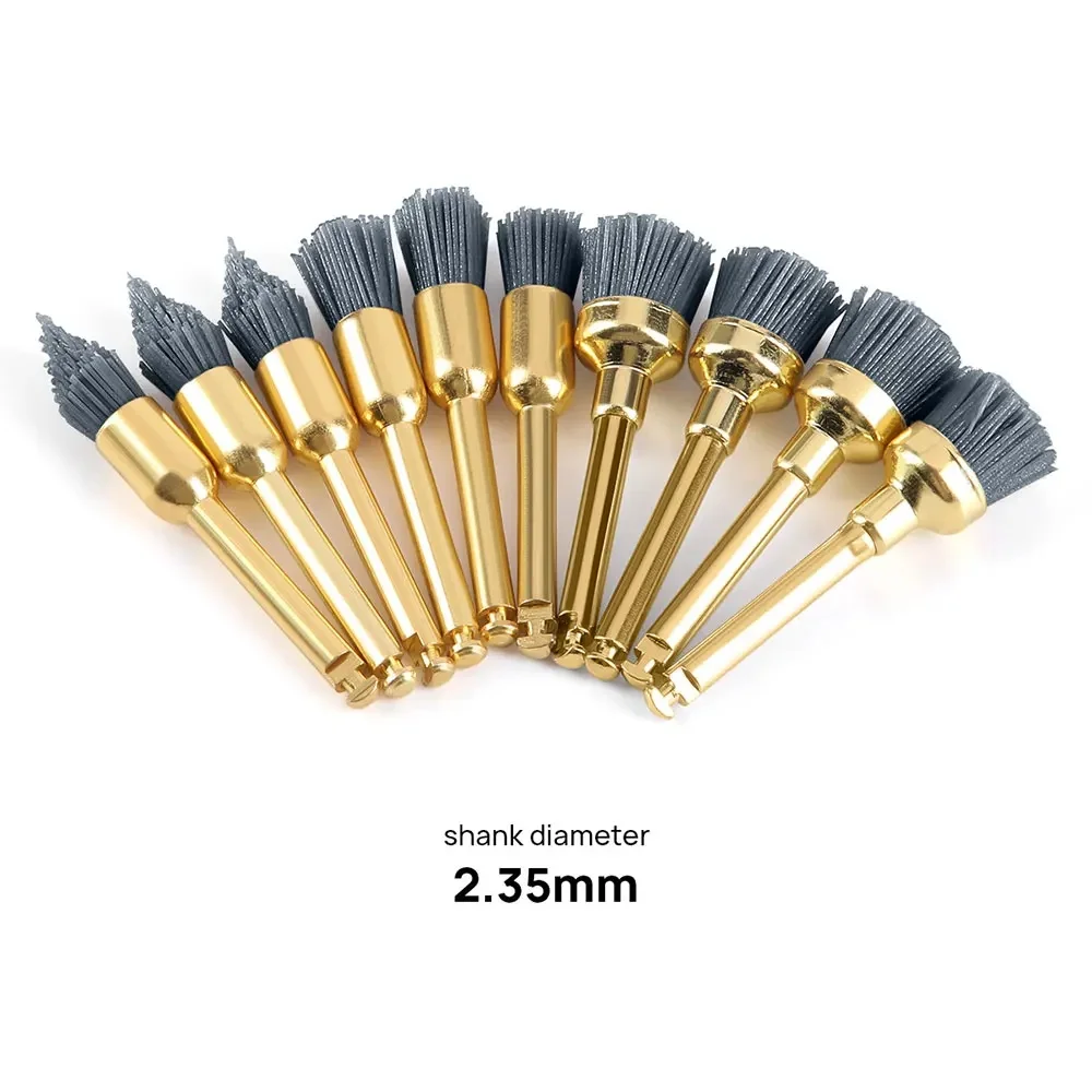 Escova De Polimento De Carboneto De Silício Para Polidor Dental, Prophy Brushes para Contra Angle, 10Pcs