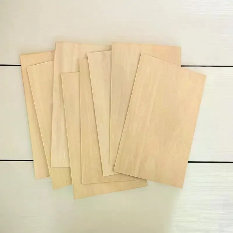 10Pcs 15X10Cm Bassw…