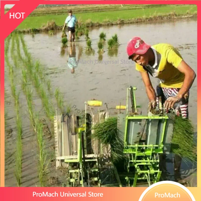 Manual Double-row Rice Seedling Machine Rice Seedling Replenishment Machine Human Hand-operated Transplanter Seed Machine