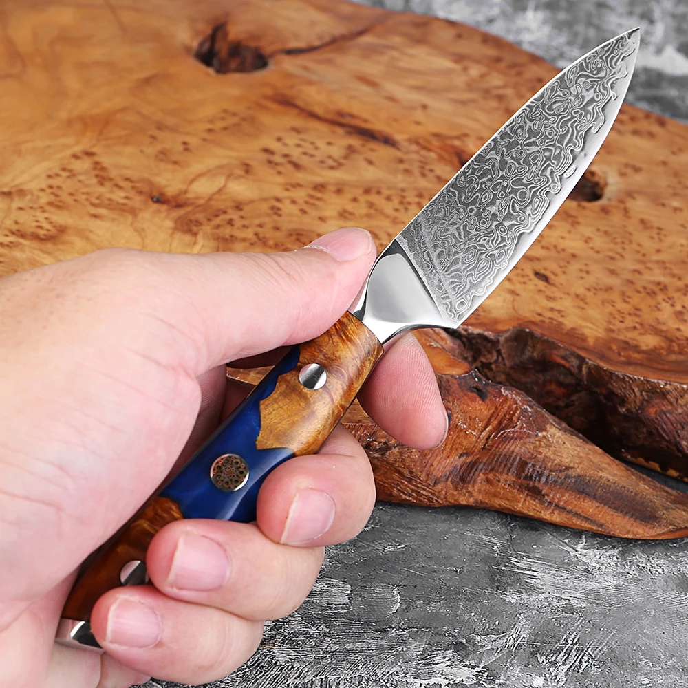 Paring Knife 3.5 Inch Fruit Knives, Small Kitchen Knife, Ultra Sharp Damascus Steel Fruit & Vegetable Knives,Full Tang Handle