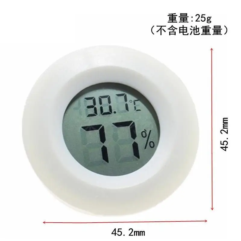 Reptile Lizard Tort…