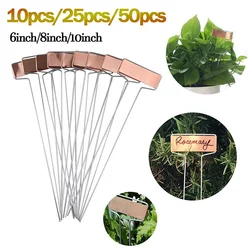 10/25/50Pcs Plant Labels 6/8/10Inch Plant Labels Metalen Zaailing Tags Teken kwekerij Classificatie Markers Tuin Stakes Staal