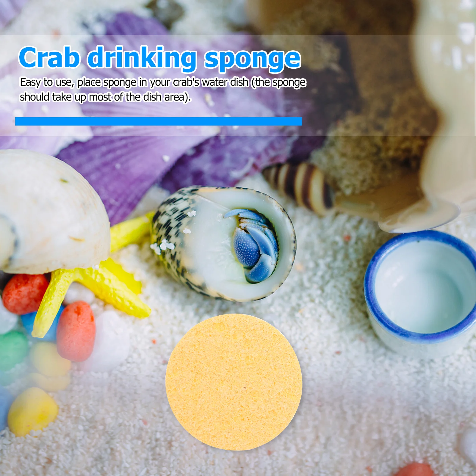 

12Pcs Hermit Crab Sponges Humidity Maintaining Sponges Crab Drinking Sponge Tank Cleaning Supplies Cleaning Sponge