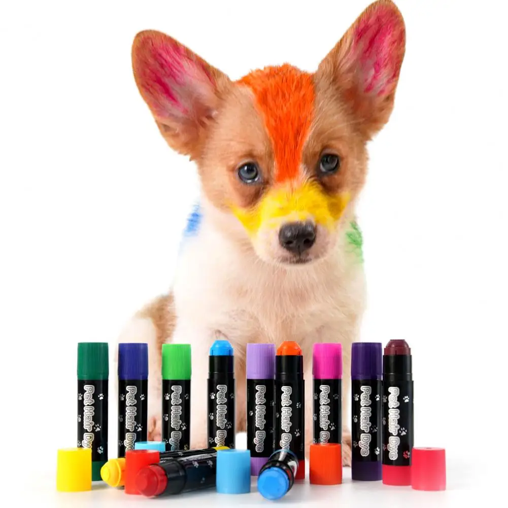 12Pcs Pet Hair Dye Stick Dog Hair Dye Paint Temporary Markers Safe Hair Color Painting Styling Stick Fur Marker Pet Supplies