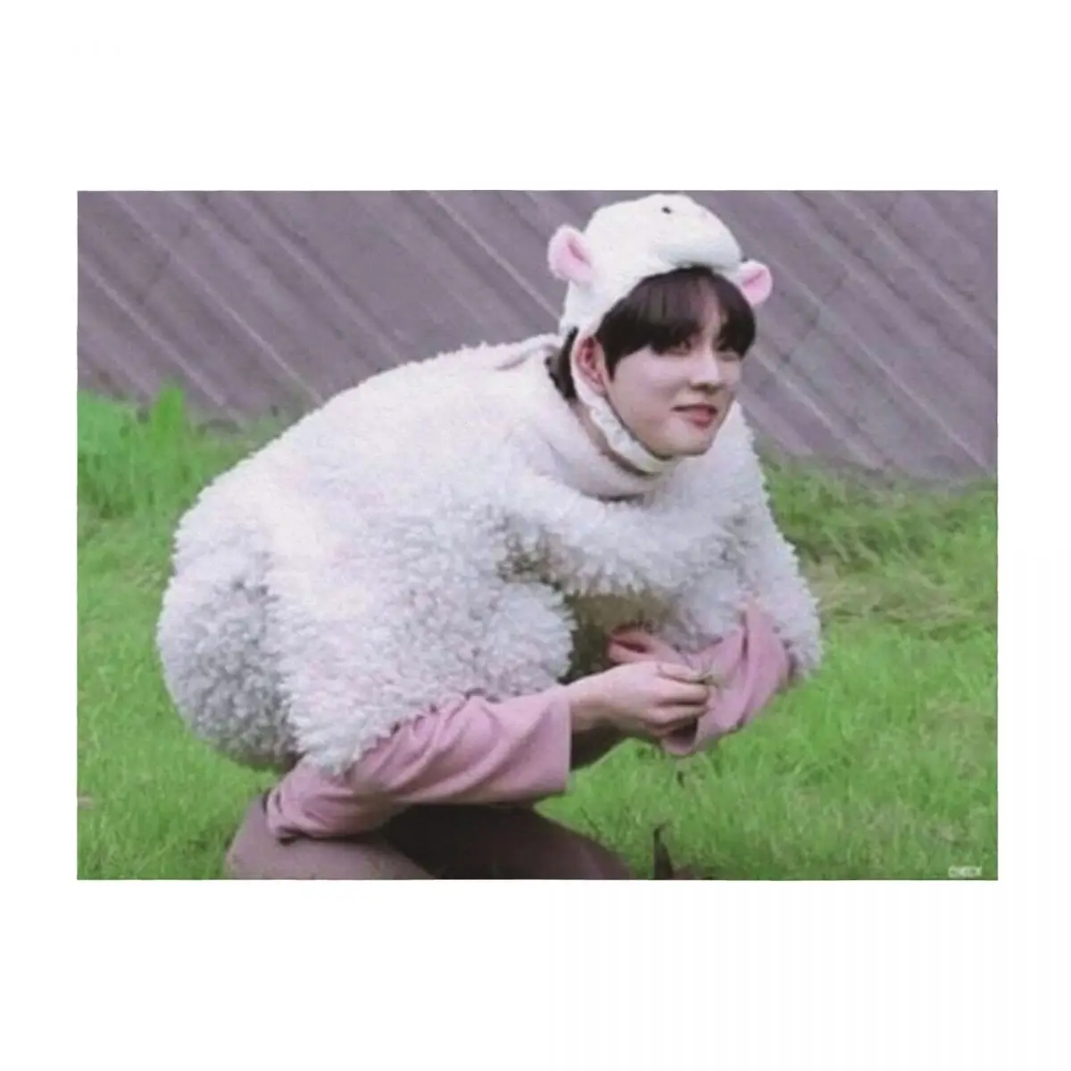 

sheep jungwon Throw Blanket Beautifuls Vintage Softest Flannel Fabric Blankets