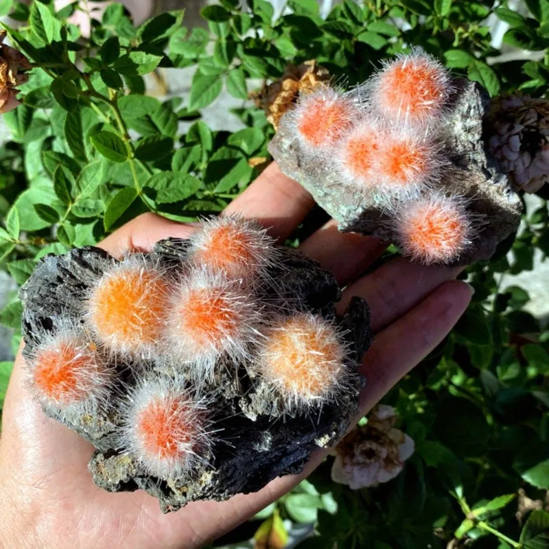 

Rare Zeolite Mineral Specimen, Zeolite Raw Gemstone, Quartz Crystal Cluster, Healing, Mineral Specimens, Crystal Collection