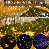 LED Net Lighting String Warm White Blue Multicolor Outdoor 220V 110V Christmas Garden Holiday Home Decor Wedding Party Fairy