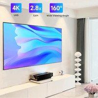 2026 HOT ALR Ambient Light Rejecting CLR PET Black Crystal Frame Projection Screen 30\