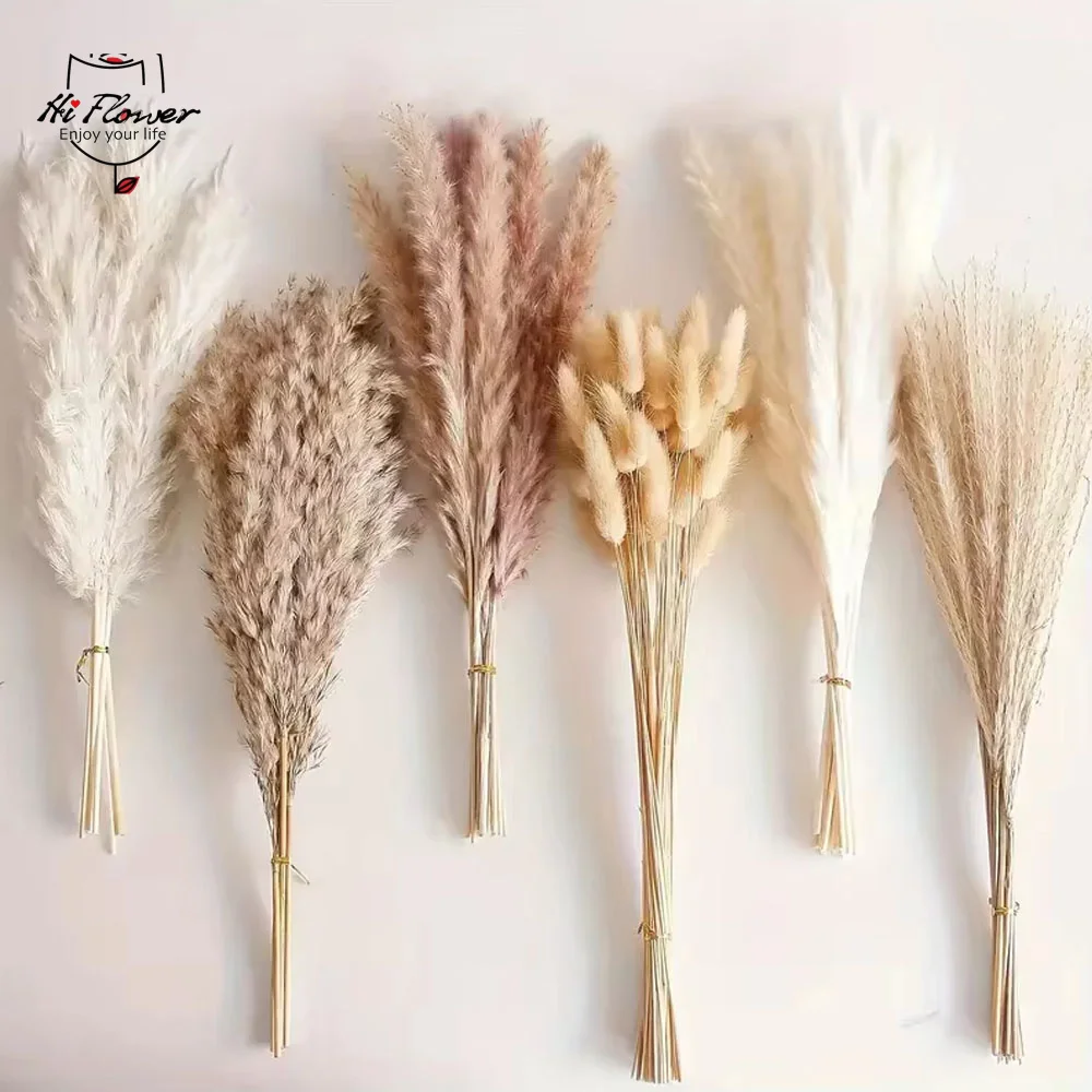 

195PCS Natural Dried Flowers Pampas Bunny Rabbit Tail Grass Wedding Decor Boho Phragmites Artifical Flower Home Vase Decoration