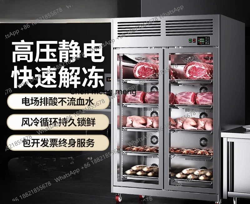 Commercial intelligent high voltage electrostatic low temperature bacteriostatic thawing machine refrigerated moderation pig