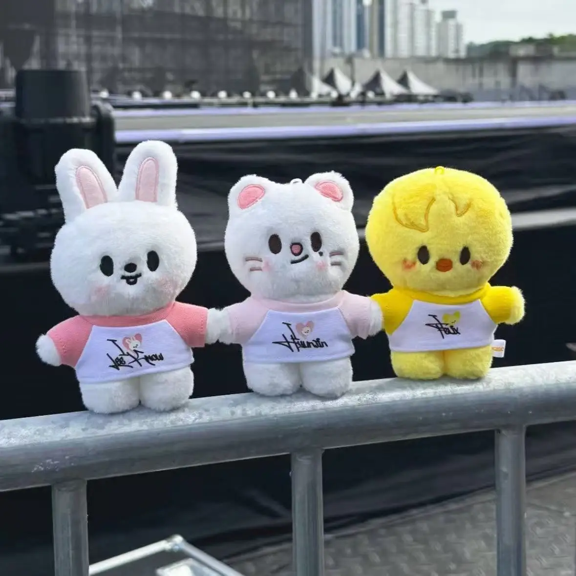 

10cm Stray Kids Plush Toy Cartoon Plush Animal Doll Skzoo Kawaii Companion Toy Room Decoration Children's Christmas Gift
