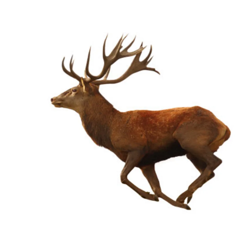 1X 35 كجم عزم دوران عالي محرك بدون قلب سيرفو ميتال جير رقمي والفولاذ المقاوم للصدأ والعتاد سيرفو اردوينو المؤازرة لتقوم بها بنفسك الروبوتية ، سيارة RC #1