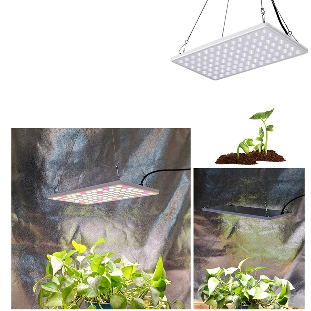 

Promotion LED Grow Plant Light for Indoor Plants Samsung Diodes Full Spectrum Growing Lamp for Seeding Veg Blooming