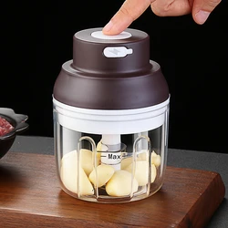 Luxury LFGB Certificated PP Container 430 Stainless Steel Blade Garlic Masher Rechargeable Atuo Vegetable Grinder Fruit Crusher