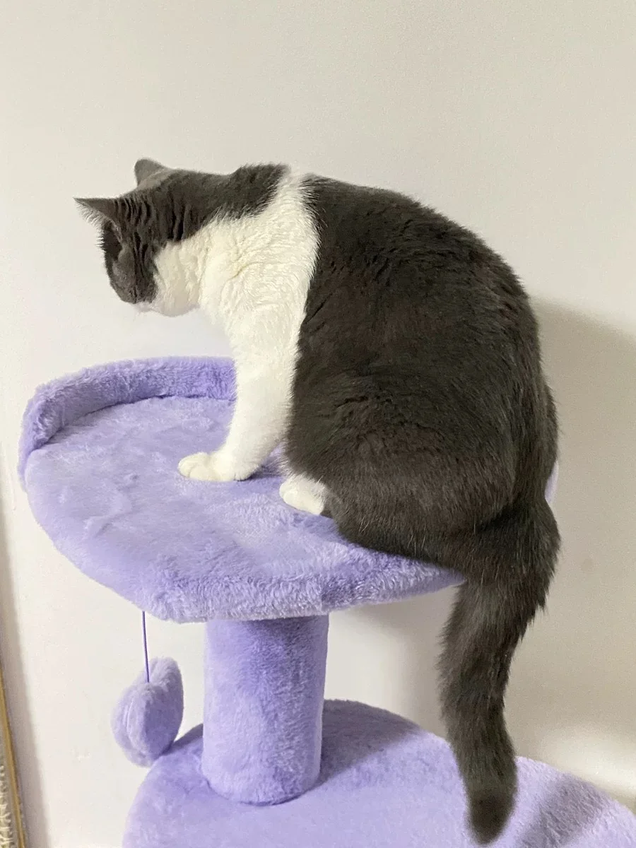 Cat Tree Cat Tower For Indoor Cats Multi-Level Cat Climbing Frame Sisal Grinding Claw Purple Fantasy Cat Scratcher Tree