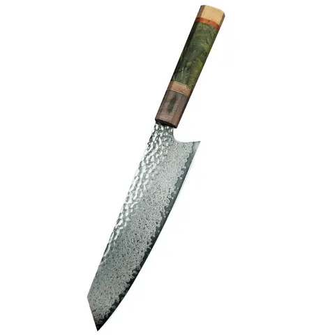 8 Inch Chef Knife 67 Layers VG10 Damascus Steel Kitchen Knives Stabilized Colored Wood Handle Professional Japanese Knife