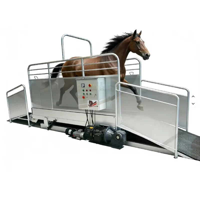 2026 Horse Treadmill RDTM Series-Stainless Steel & German Silver Construction Advanced Technology for Precise Training Control