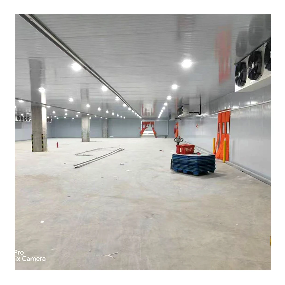 Hot Selling Walk in Refrigeration Cold Storage Energy Saving Cold Storage Room for  Potato Fruit Vegetables