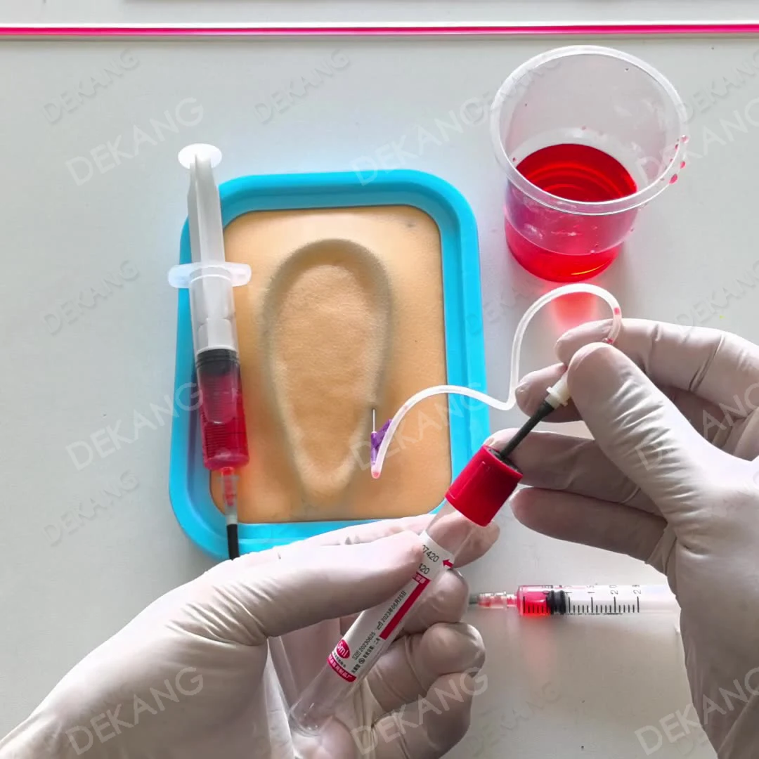 Modello di pratica dell'iniezione dell'infusione Insegnamento dell'ago Inserimento Raccolta del sangue Raccolta del sangue Stampo per la pelle per puntura dei vasi sanguigni