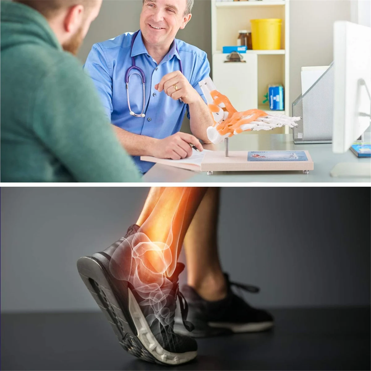 Modello articolare del piede Gfc con legamenti, modello di anatomia umana, a grandezza naturale, attrezzatura per l'insegnamento medico