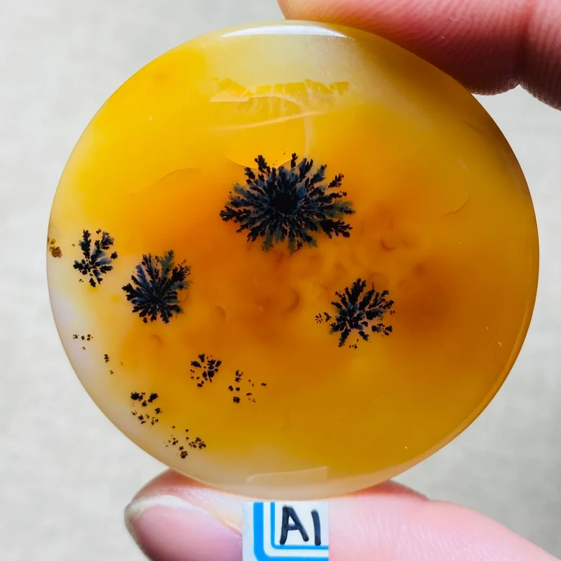 Natural Madagascar Agate irregular Prophecy   Crystal Quartz Mineral Ore Healing Stone Home Decor