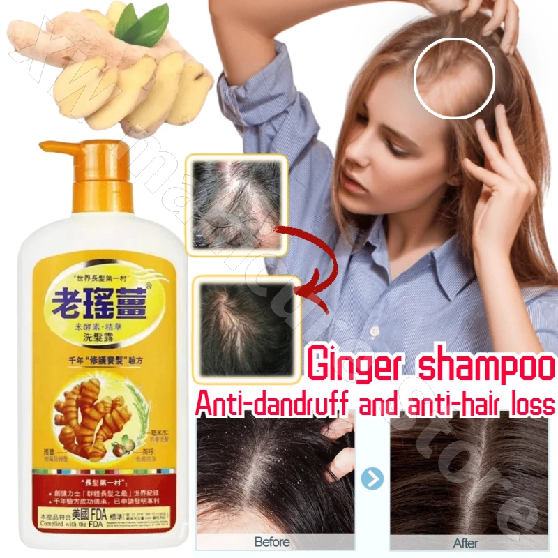 

720ml Ginger Plant Extract Anti-Hair Loss Hair Shampoo Polygonum Multiflorum Oil Control Anti-Dandruff Shampoo Natural Herbal