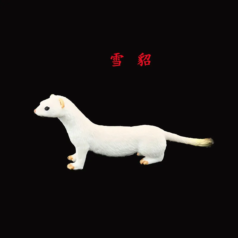 Ferret Cognitive Ornaments Solid  Simulation Animal Toy Wild Animal Model