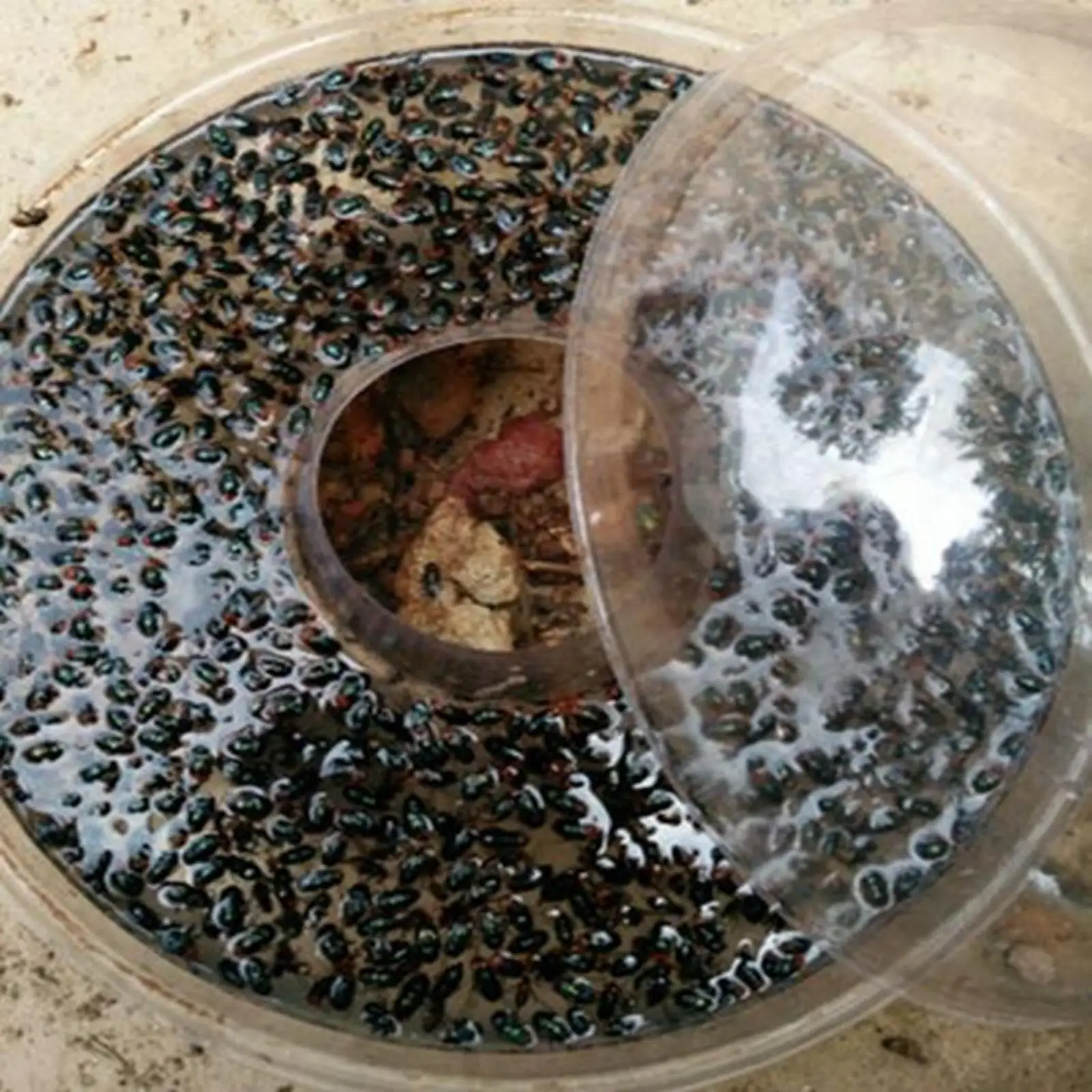 Matamosquitos multiusos, efectivo, para Parque, Hotel, yardas