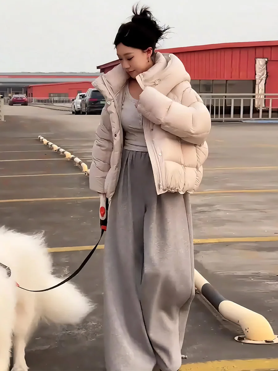 Giacca Invernale da Donna in Piumino Bianco, Calda e Trendy con Cappuccio, per il Pendolarismo, Senza Marchio Registrato