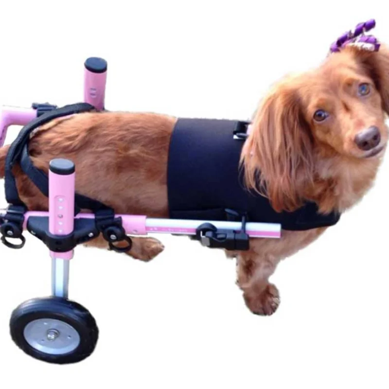 Dog Wheelchair Accessories Chest Strap Vest Traction Rope Hindleg Rehabilitation Cart Cat Dog Help